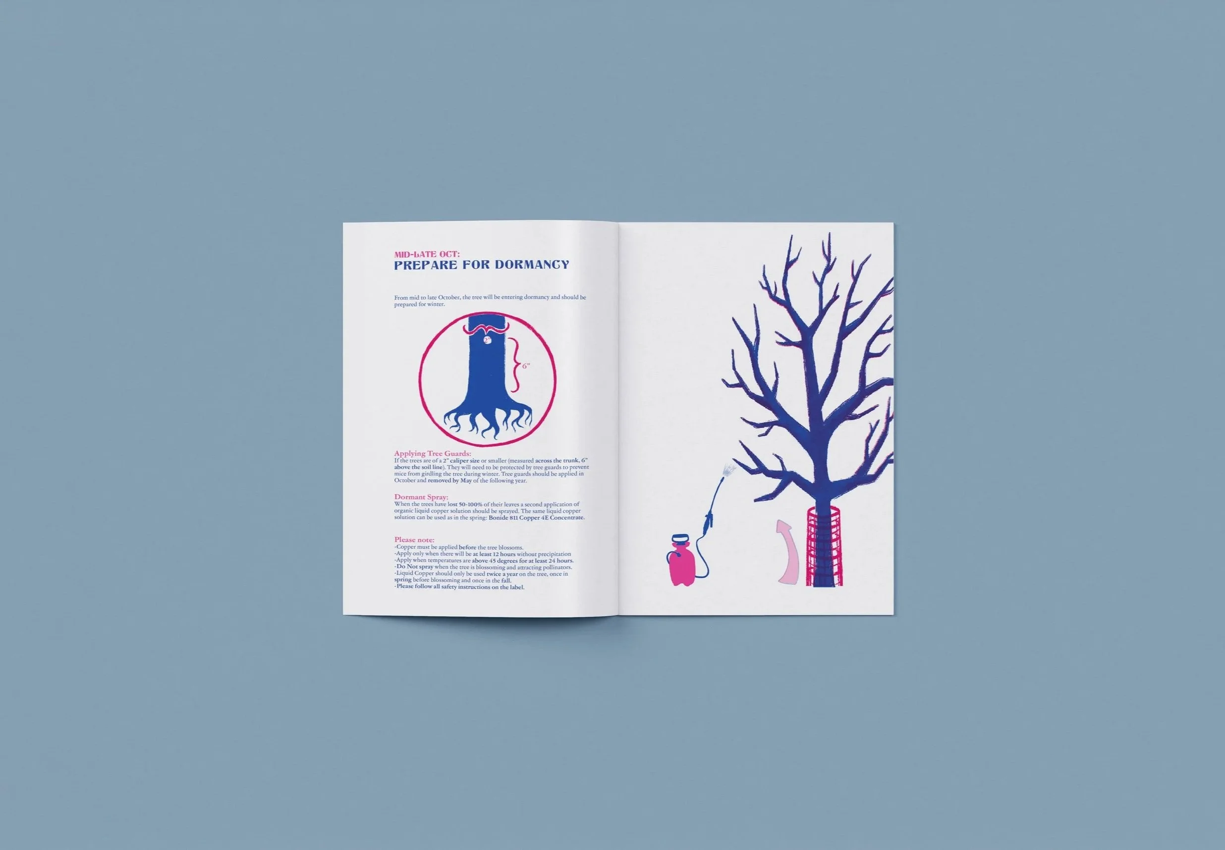 15th and 16th spread of TOFF