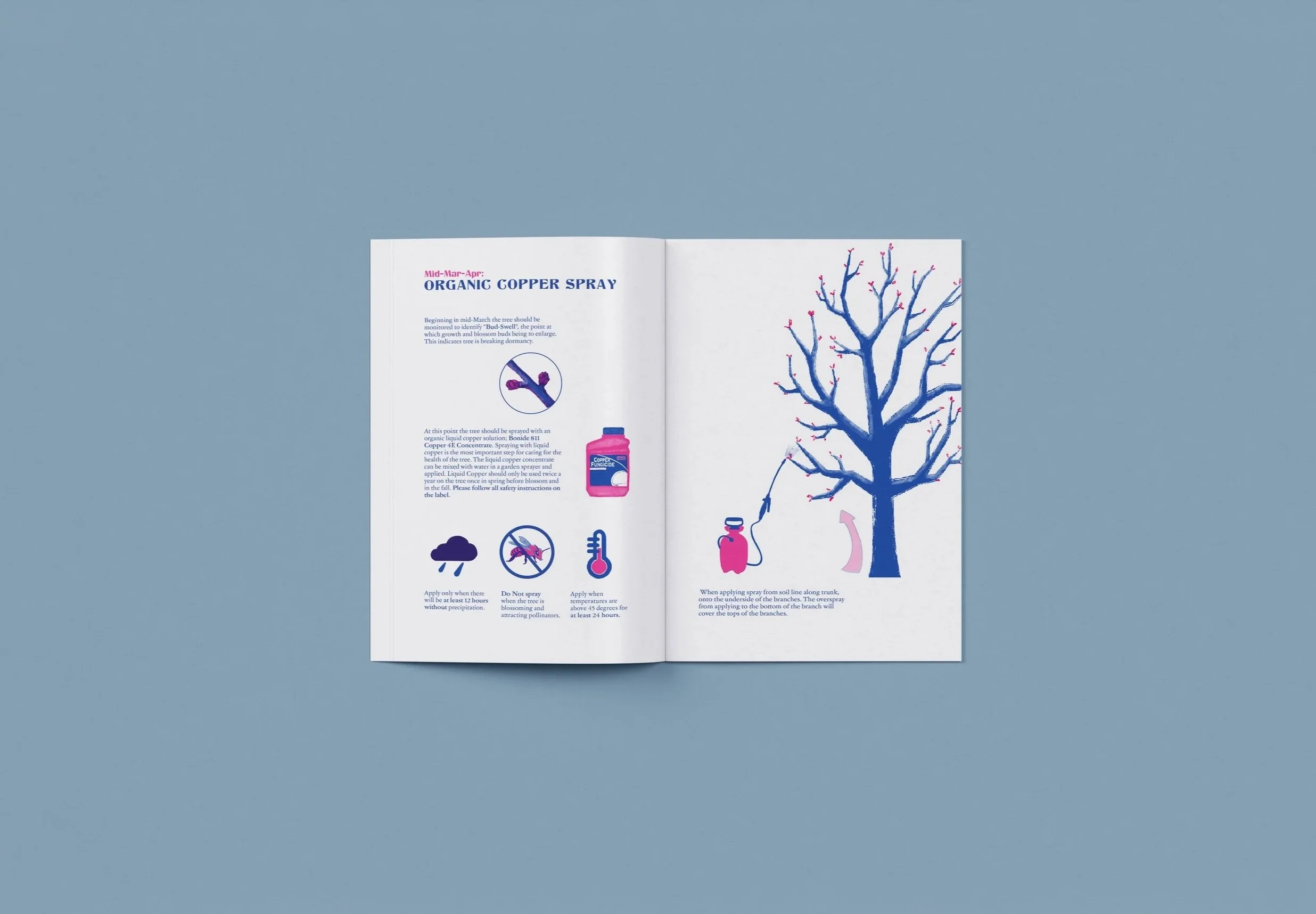 7th and 8th spread of TOFF