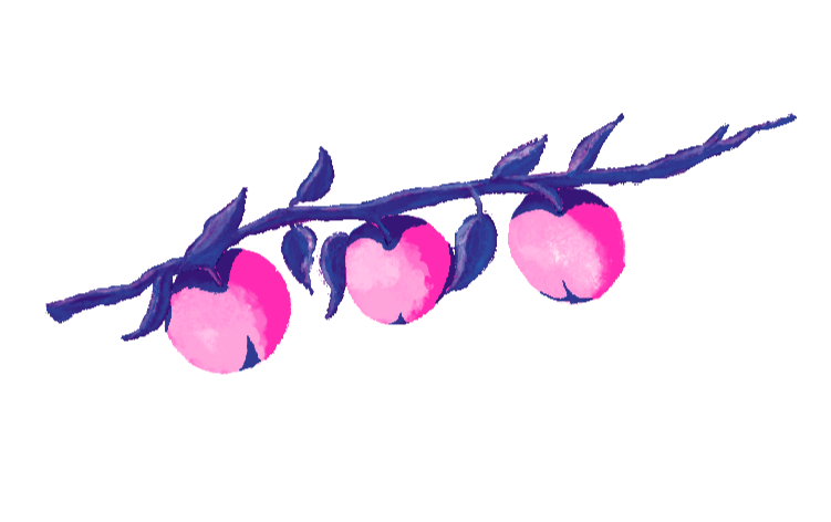 PNG of Fruit branch illustration