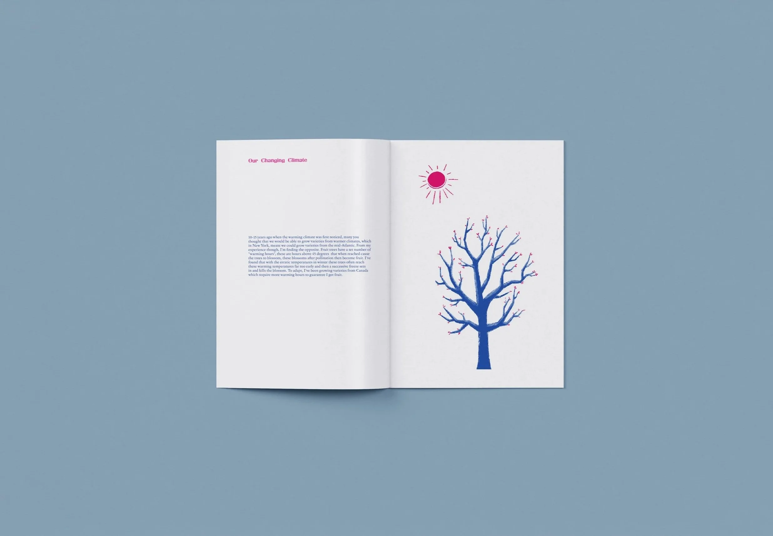 17th and 18th spread of TOFF