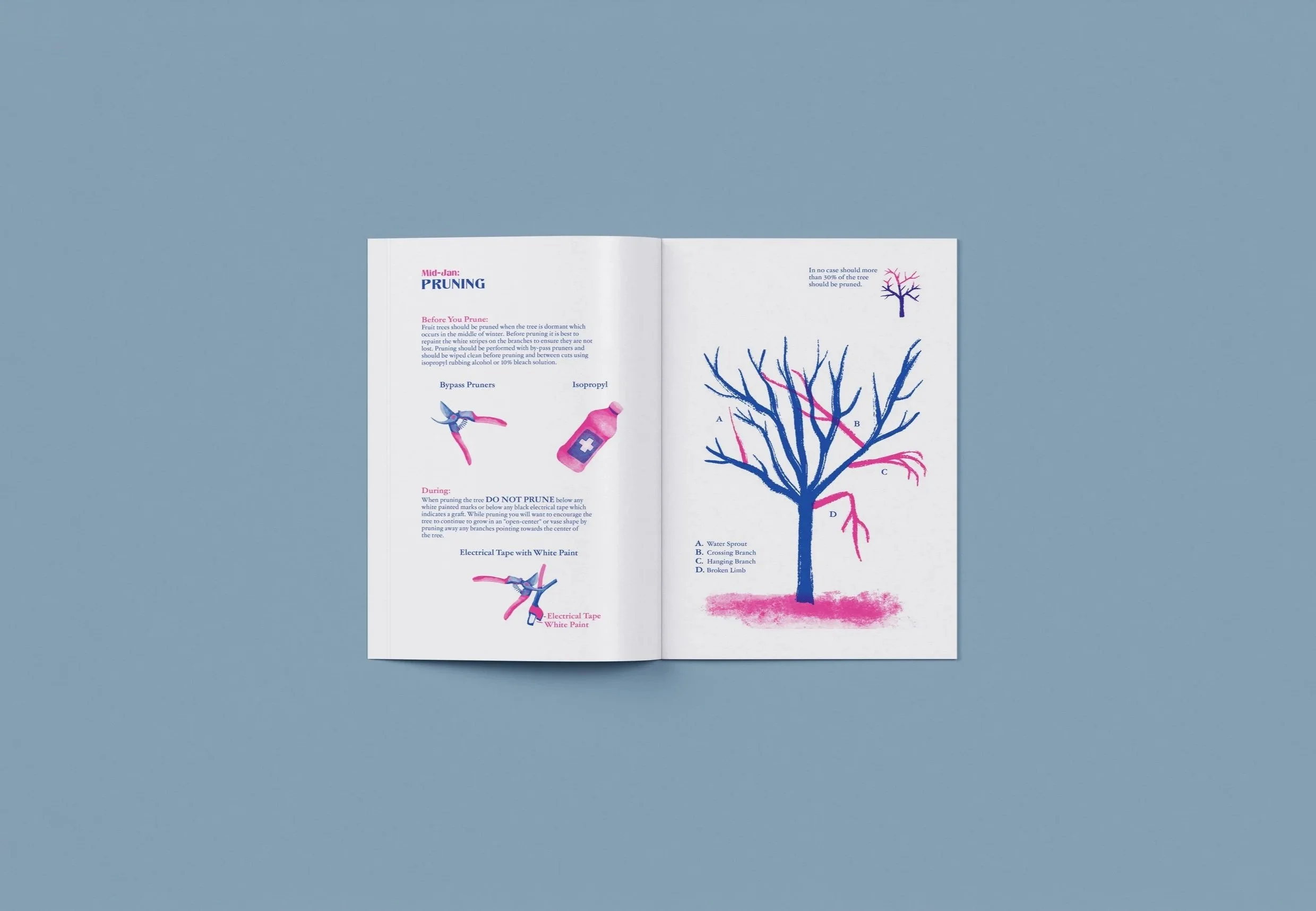 3rd and 4th spread of TOFF