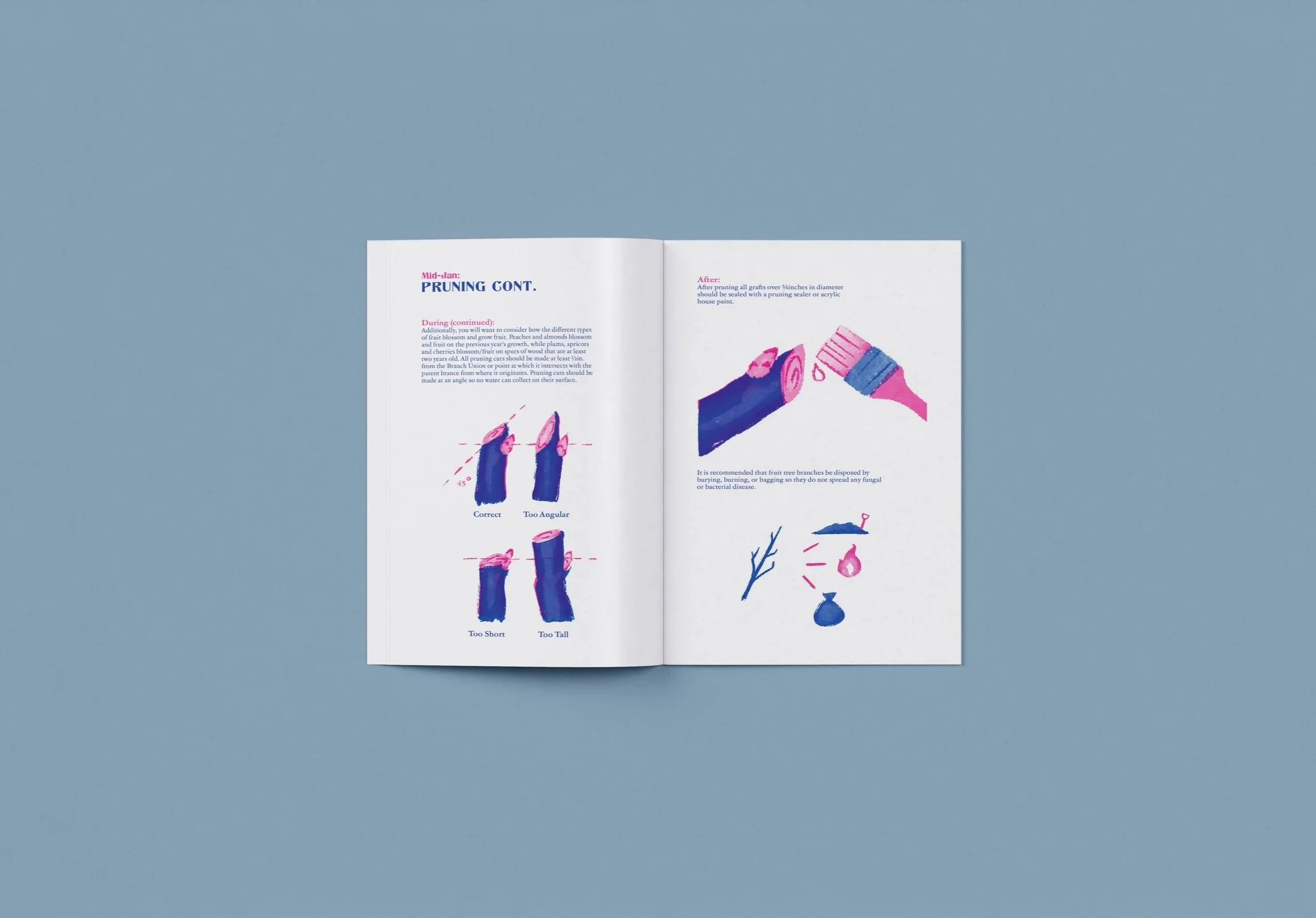 5th and 6th spread of TOFF