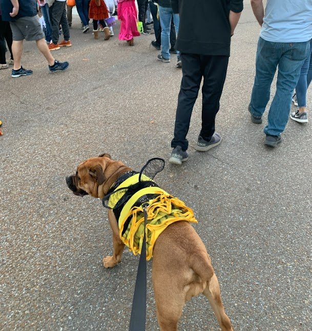 Oct 27, 2025 at 9_54 PM(4).jpg