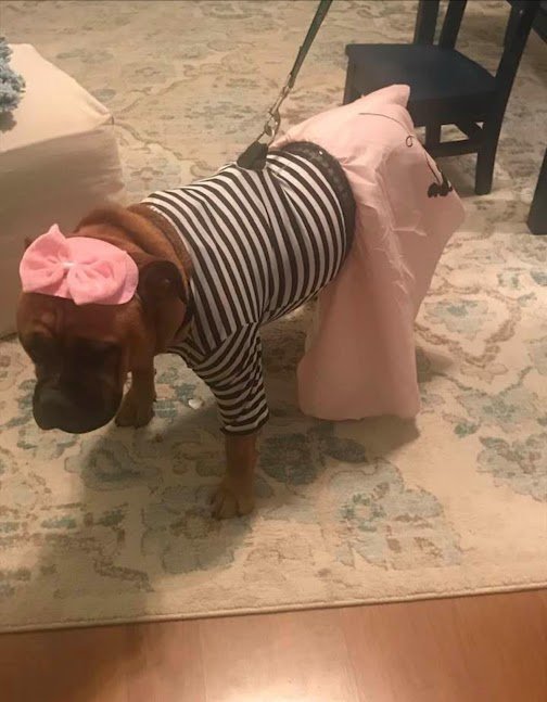 Oct 27, 2025 at 9_54 PM(2).jpg