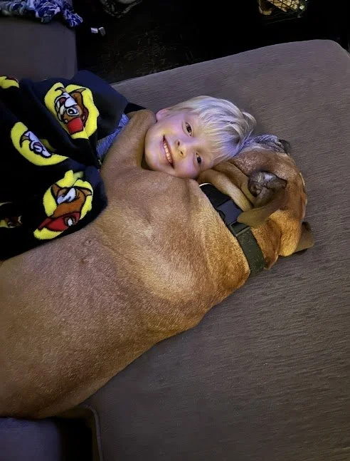 Jan 19, 2026 at 4_25 PM.jpg