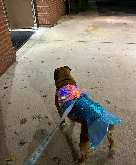 Oct 27, 2025 at 9_54 PM(5).jpg