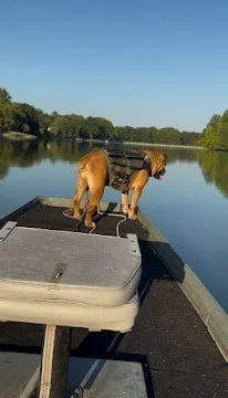 Aug 25, 2025 at 8_52 AM.jpg