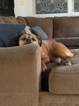 Sep 8, 2025 at 8_58 AM.jpg