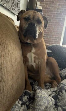 Feb 23, 2026 at 8_26 AM.jpg