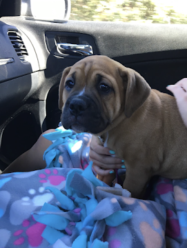 Screenshot 2025-09-21 at 8.54.14 PM.png