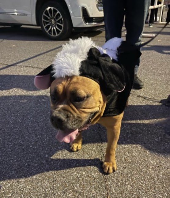 Oct 27, 2025 at 9_54 PM(6).jpg