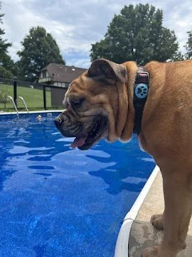 Sep 1, 2025 at 10_31 PM.jpg