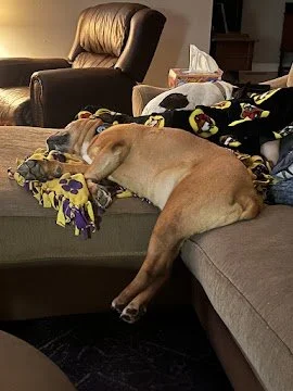 Mar 9, 2026 at 9_08 AM.jpg