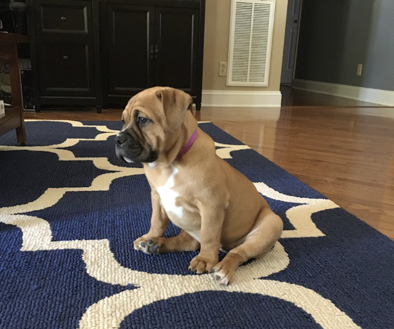 Screenshot 2025-09-21 at 8.54.39 PM.png