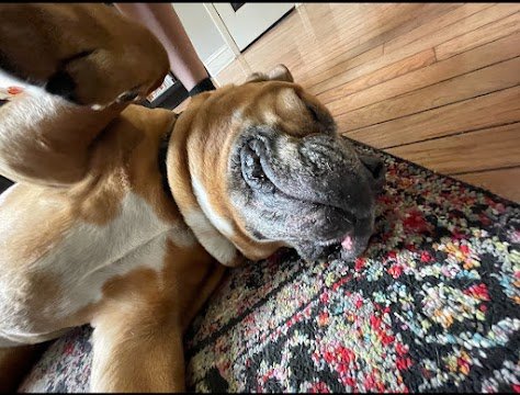 Aug 17, 2025 at 8_16 PM.jpg