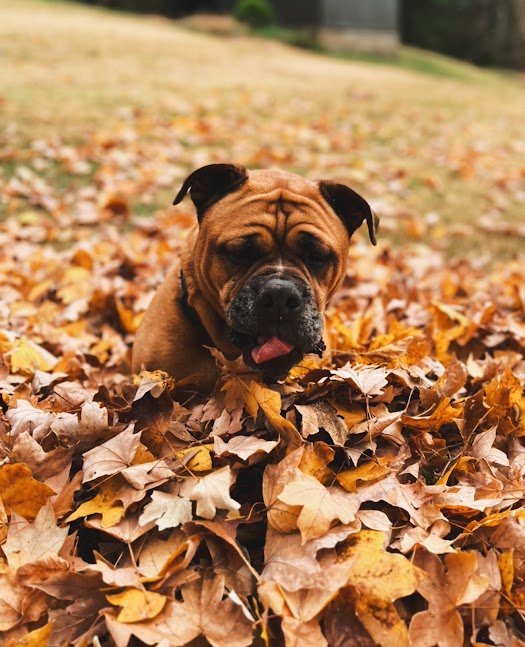 Nov 17, 2025 at 8_38 AM(1).jpg