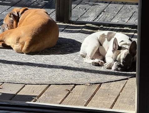 Dec 1, 2025 at 8_19 AM.jpg