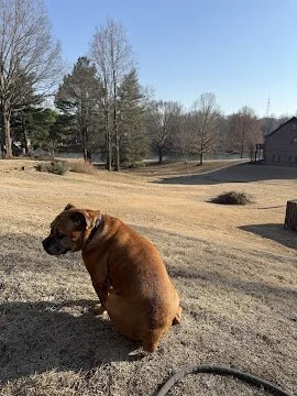 Mar 2, 2026 at 9_07 AM.jpg