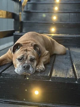 Jan 12, 2026 at 5_31 PM.jpg