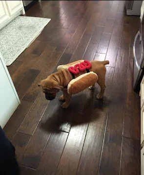 Oct 27, 2025 at 9_54 PM.jpg