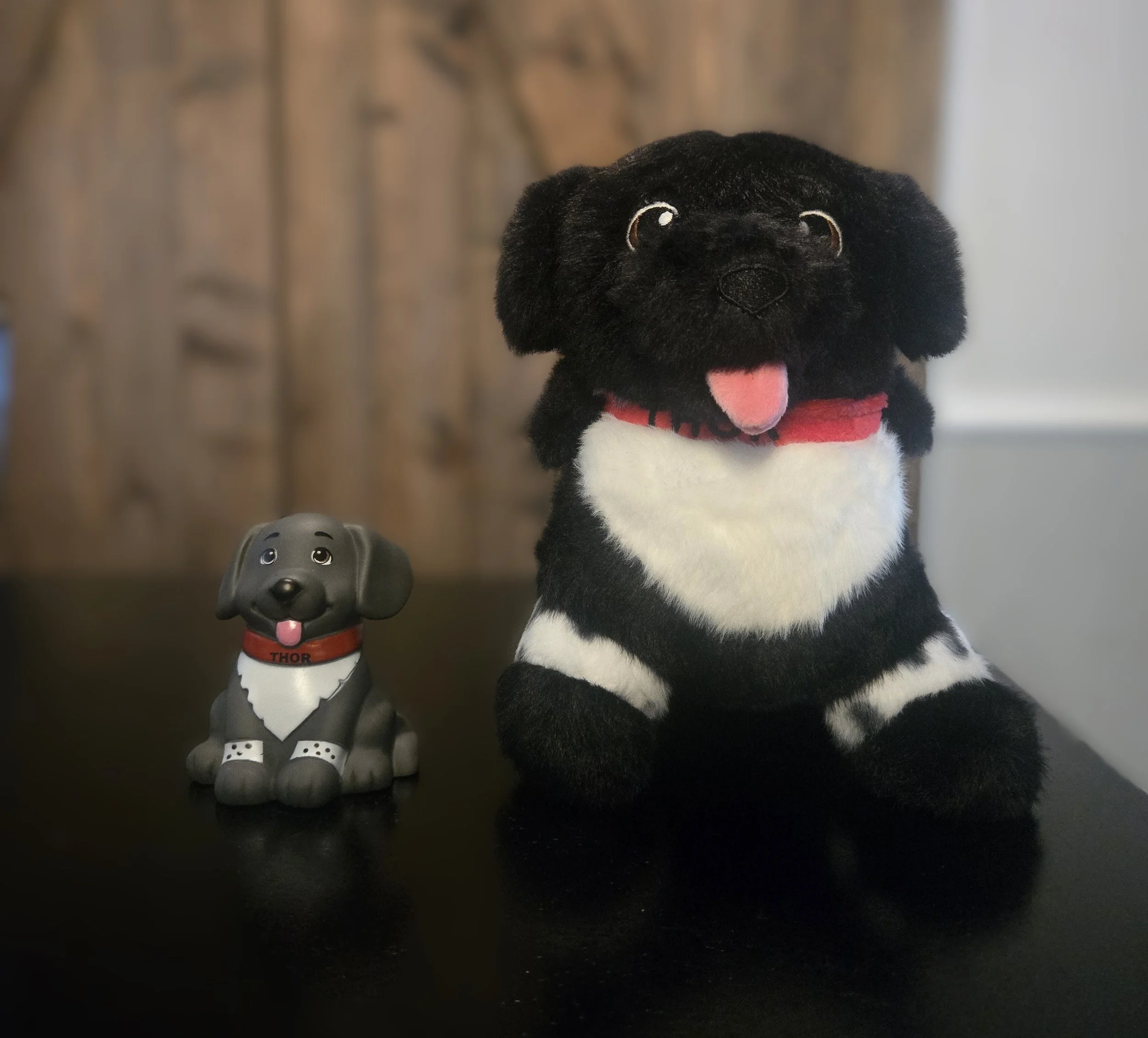 Plushy and Bath Toy Purchase.jpg