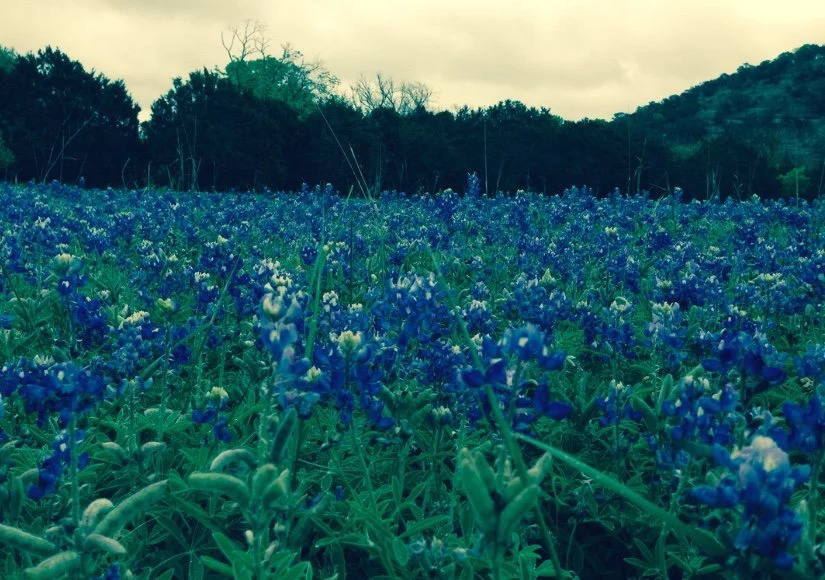 Image 1-28-26 at 7.09 PM.jpeg