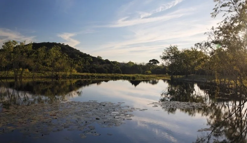 Image 1-28-26 at 7.06 PM (1).jpeg