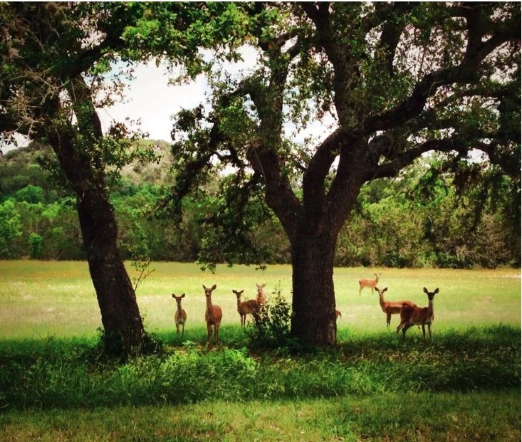 Image 1-28-26 at 7.11 PM.jpeg