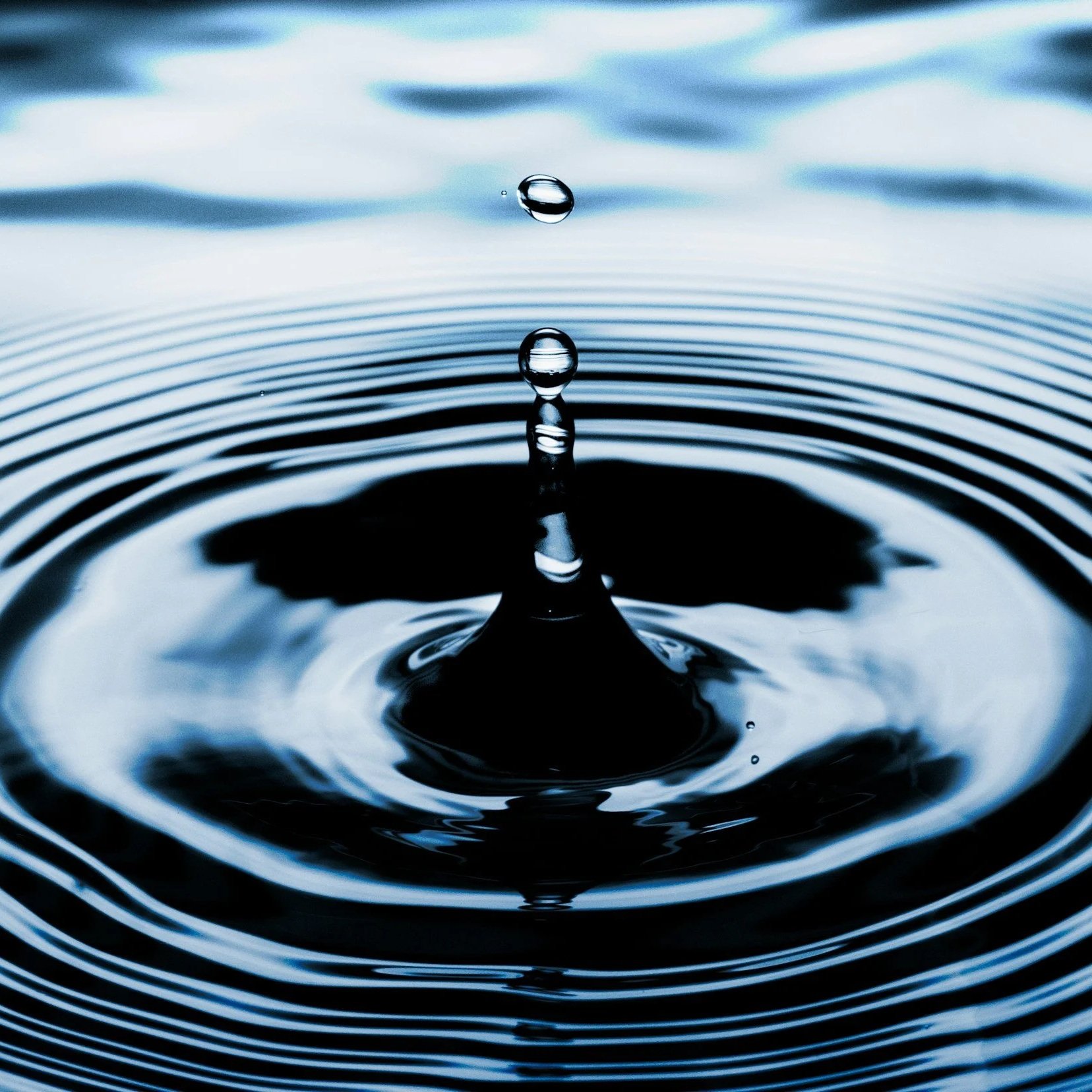 Close-up of a water droplet creating ripples on the surface of a body of water.