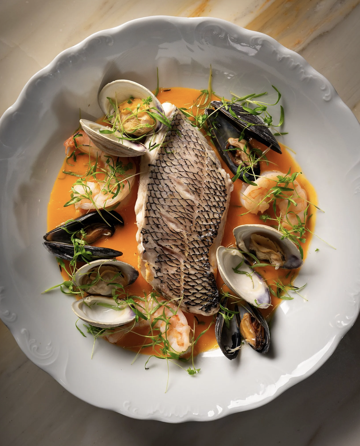 Seafood dish with fish fillet, clams, mussels, shrimp, and green herbs in an orange sauce on a white plate. Robert Ranfranz branding, design and ecommerce.