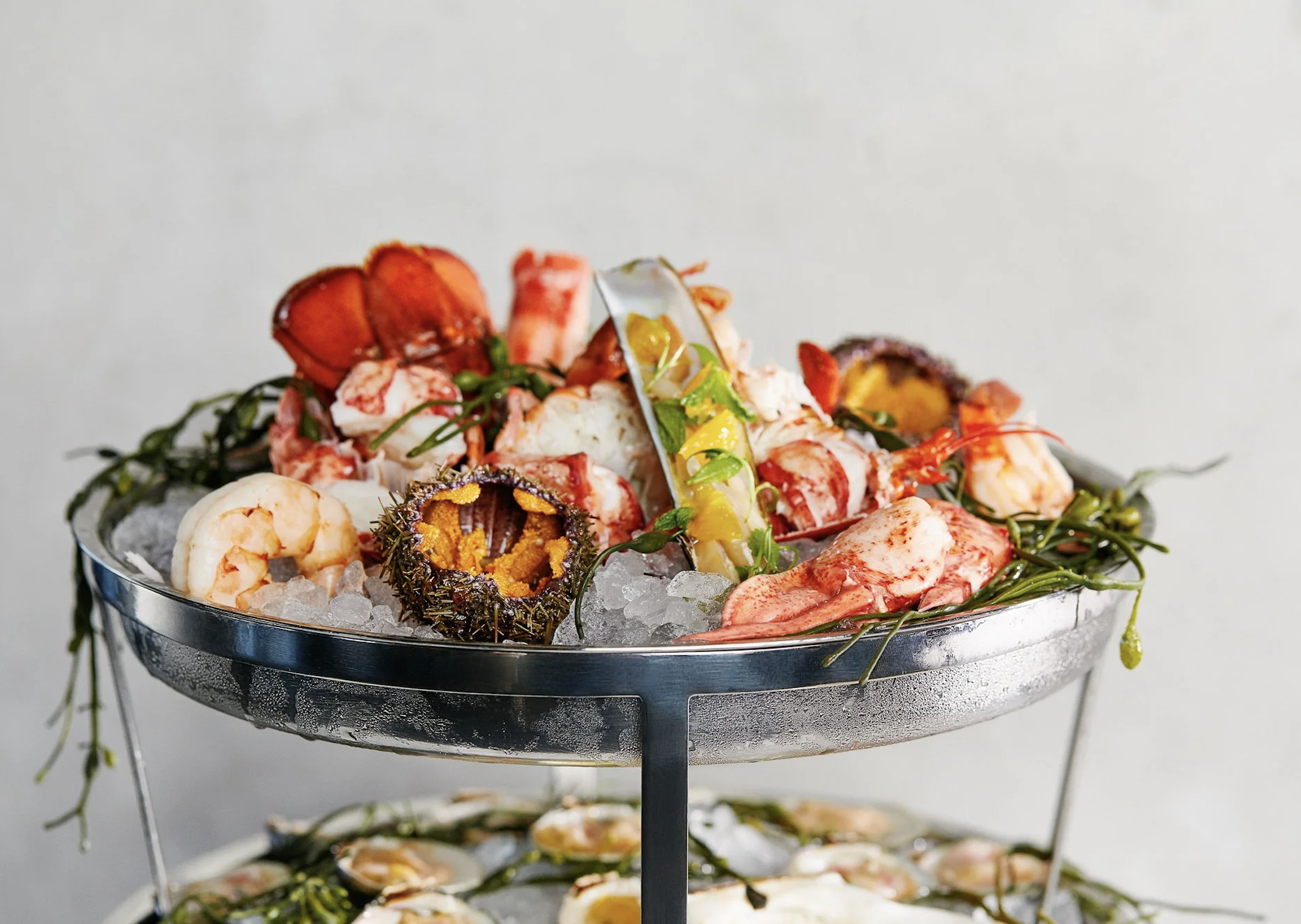 A seafood platter with shrimp, lobster, and sea urchin shells on ice, garnished with fresh herbs in a silver bowl. Robert Ranfranz branding, design and ecommerce.