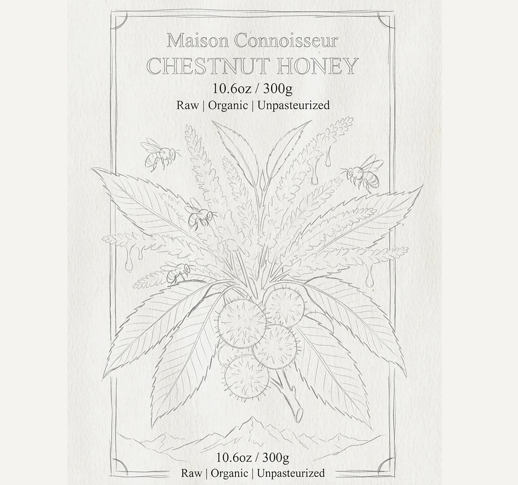 A line drawing of a label for Chestnut Honey. The label features a large chestnut plant with leaves, flowers, and nuts, and bees flying around it. Maison Connoisseur Honey. Robert Ranfranz.