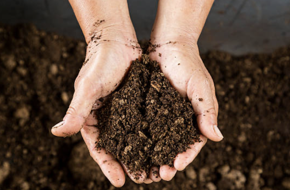 Screened Organic Compost