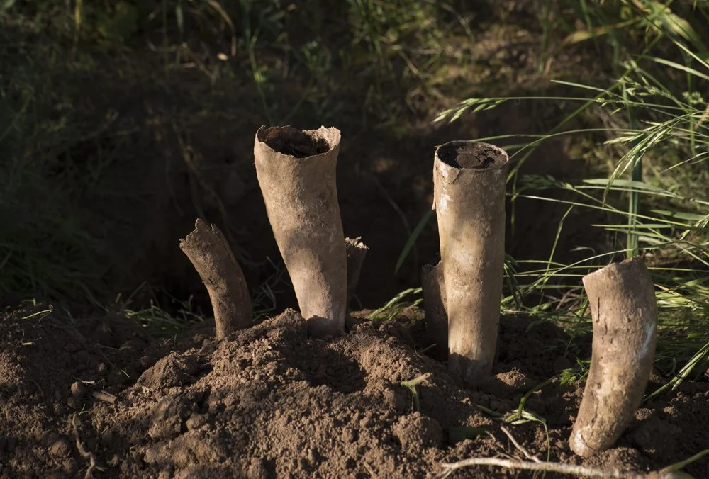 Biodynamic Viticulture Seminar