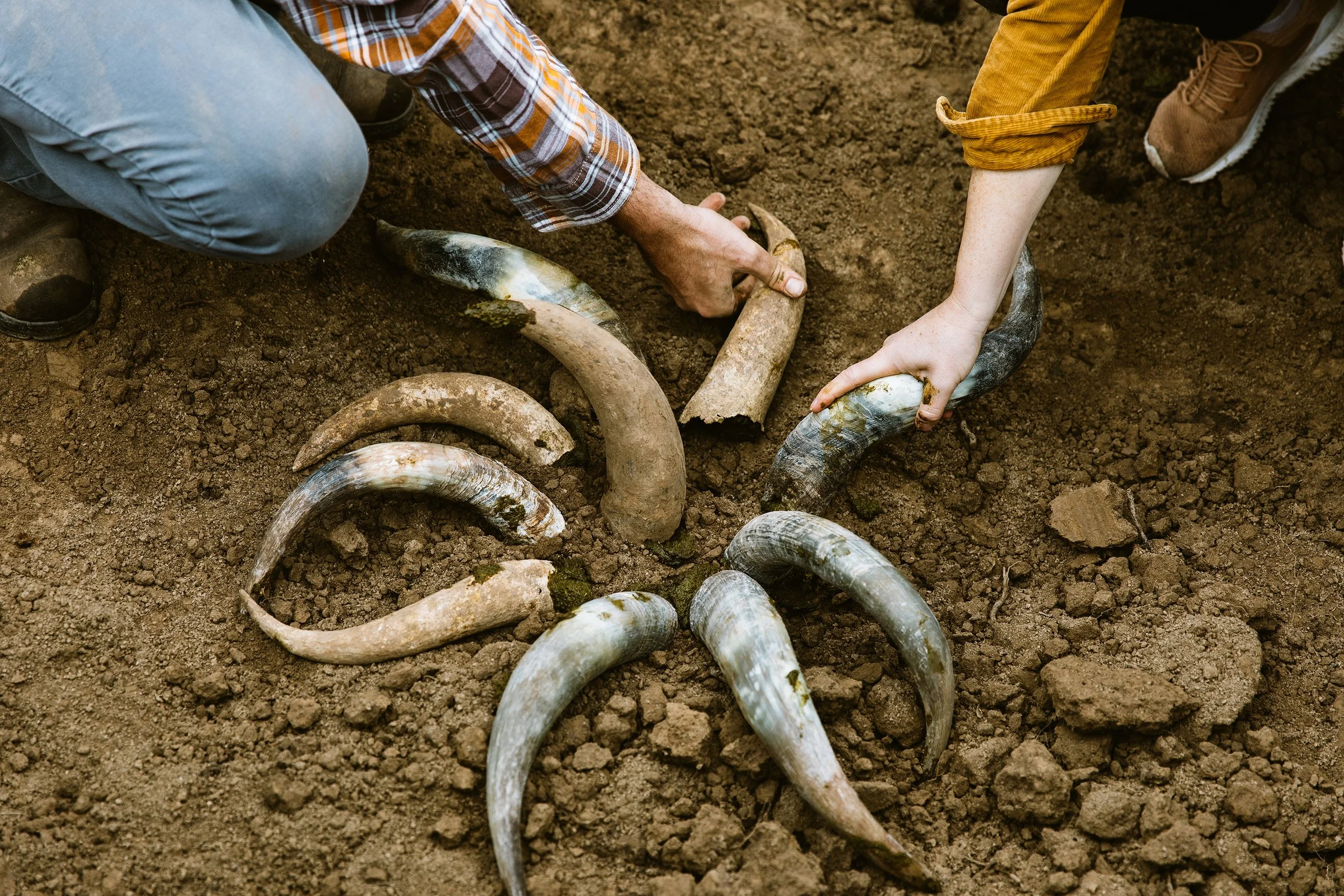Earth Day at The Grove