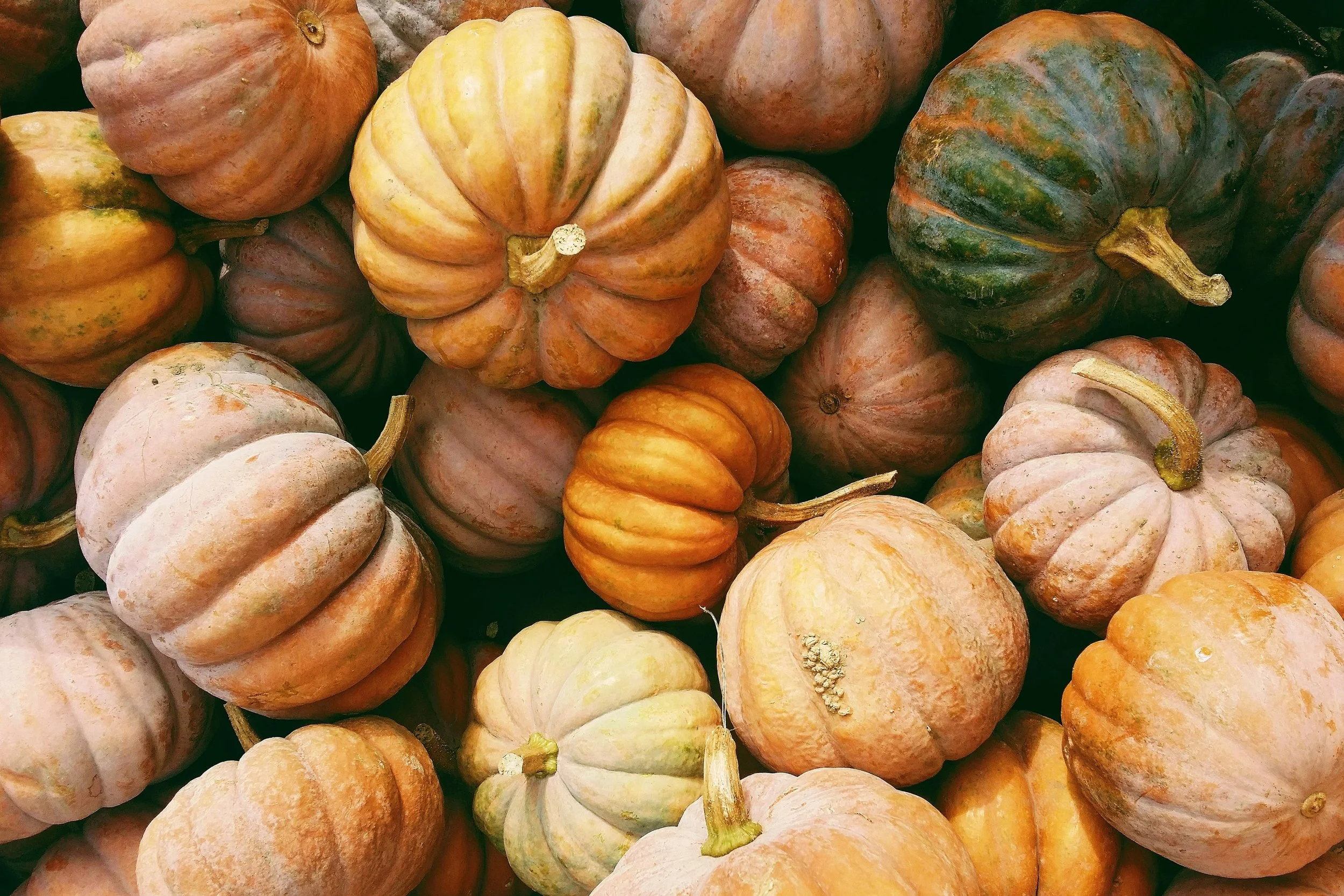 Pumpkin Floral Design Class