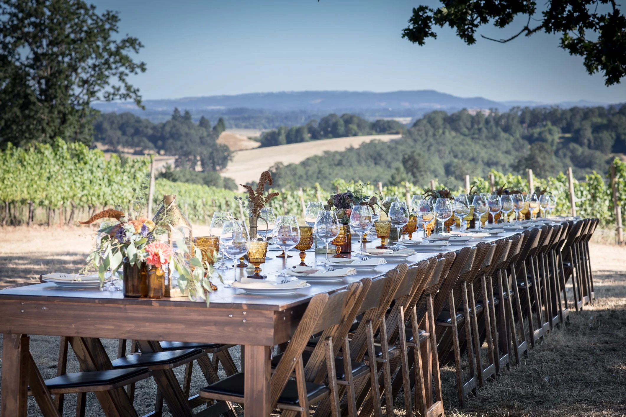 Tidalstar Vineyard Brunch