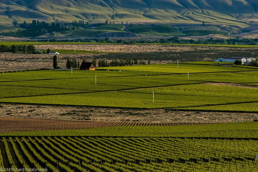 Vast farmland with green vineyards and fields, rolling hills in the background, and farm buildings.