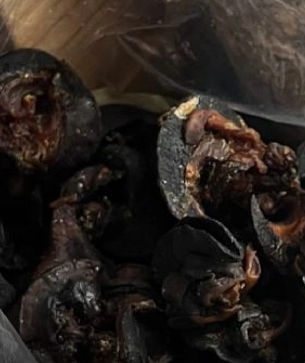 Jumbo Snail - zoom view.jpg