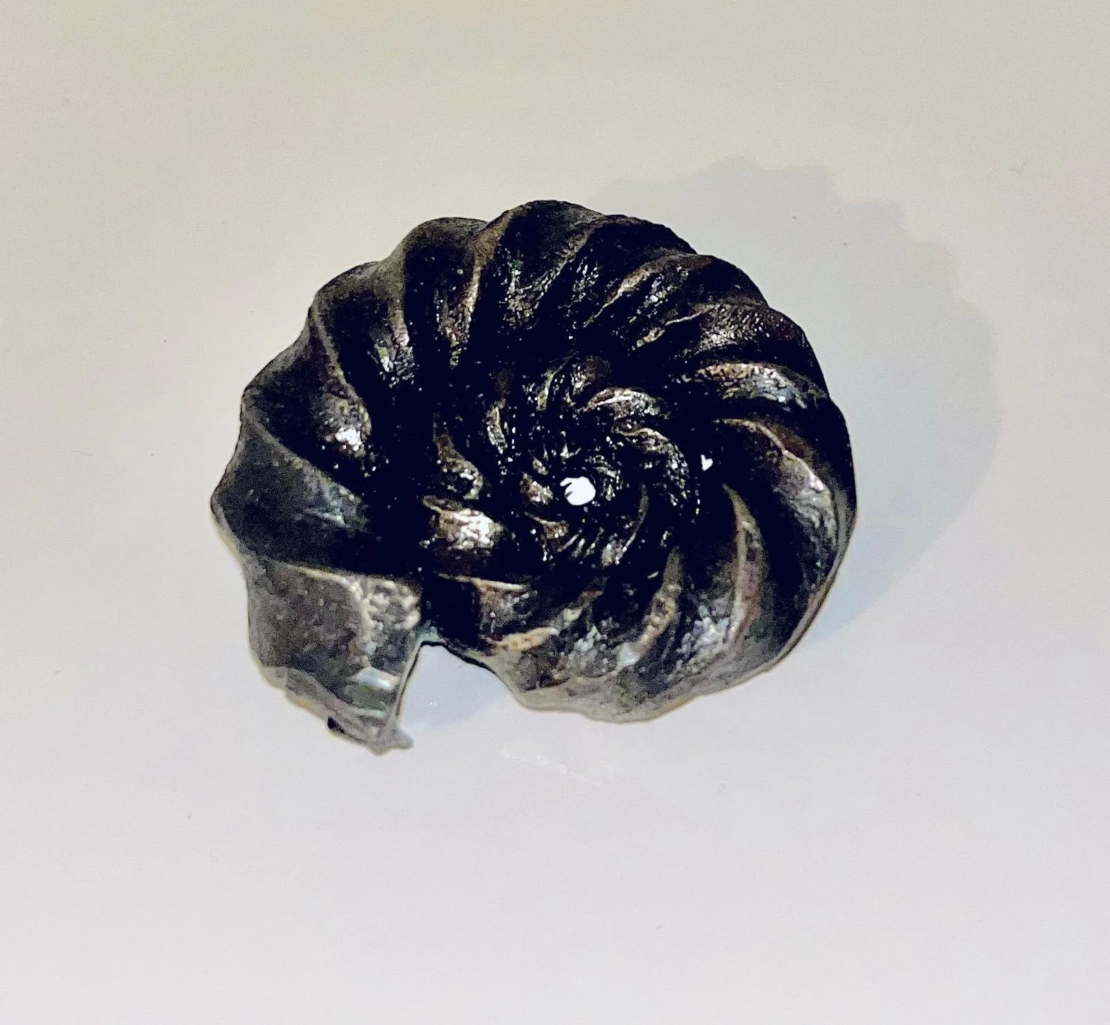 Amonite paperweight