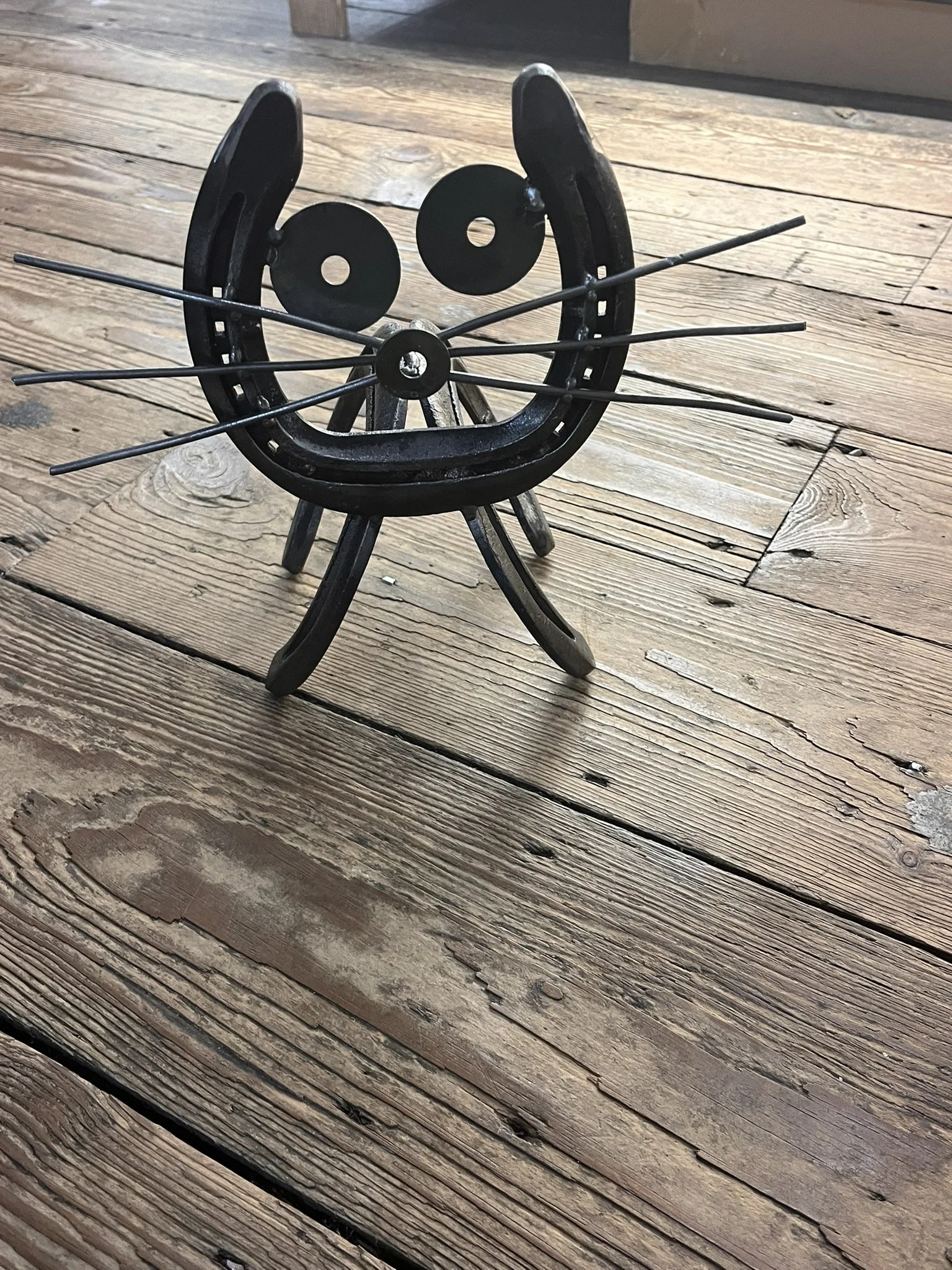 Horse shoe Cat