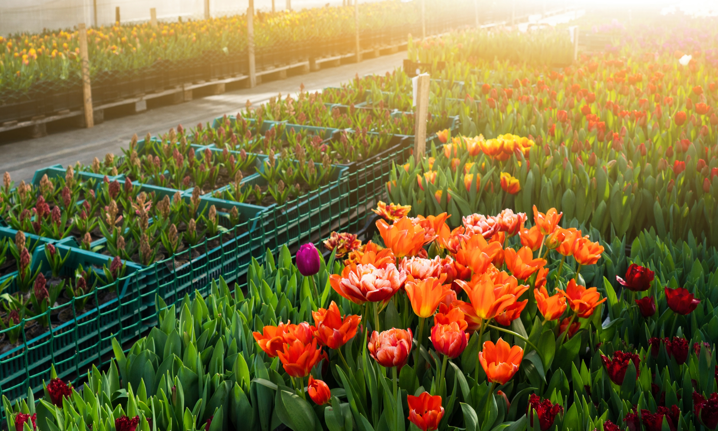 Insurance as a Seasonal Business Owner