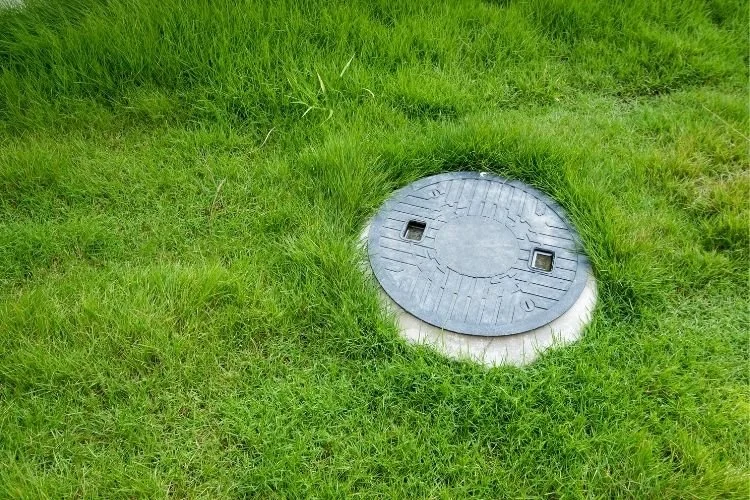 A green grassy area with a round metal septic cover.