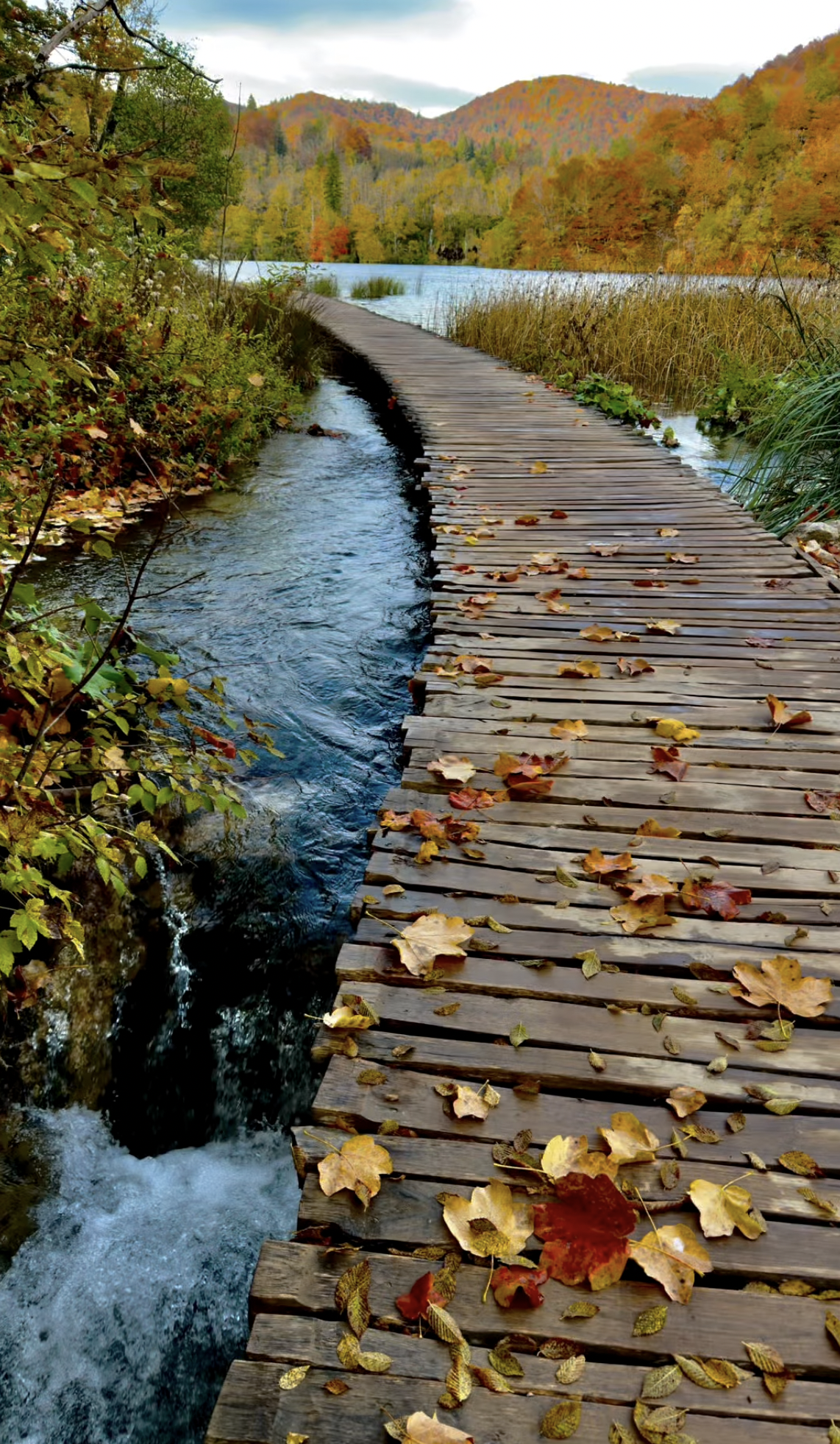 Magical and Memorable