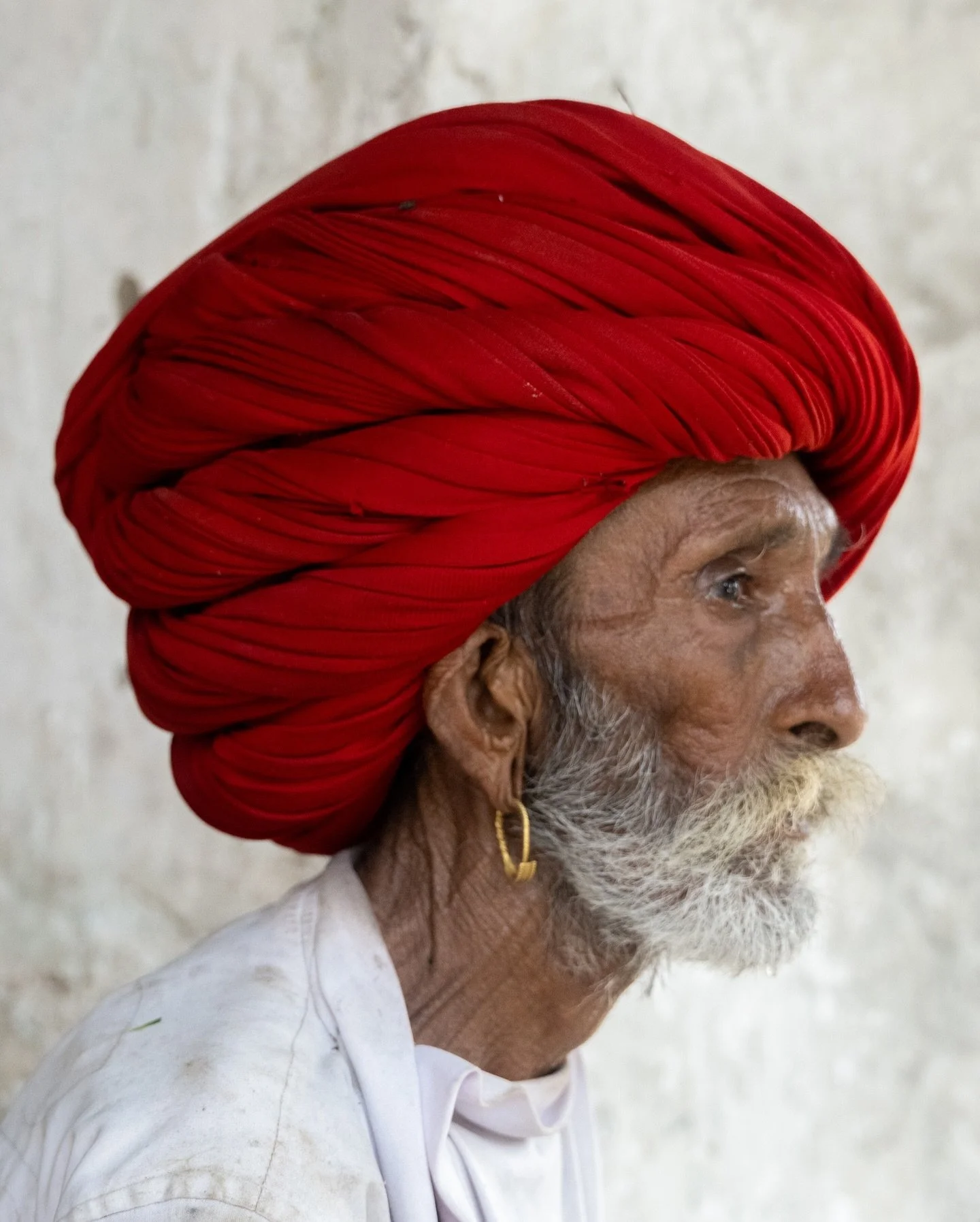 Red-Turbaned Rubanis