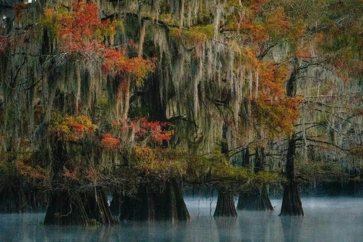Calm, Colorful Cypress Country