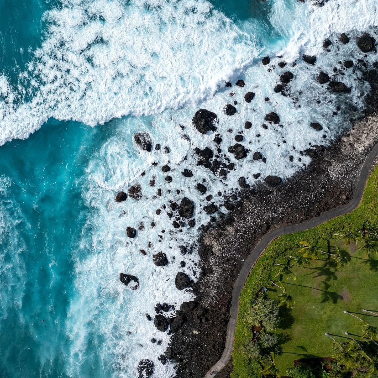 Winter Waves. Wild Waters.