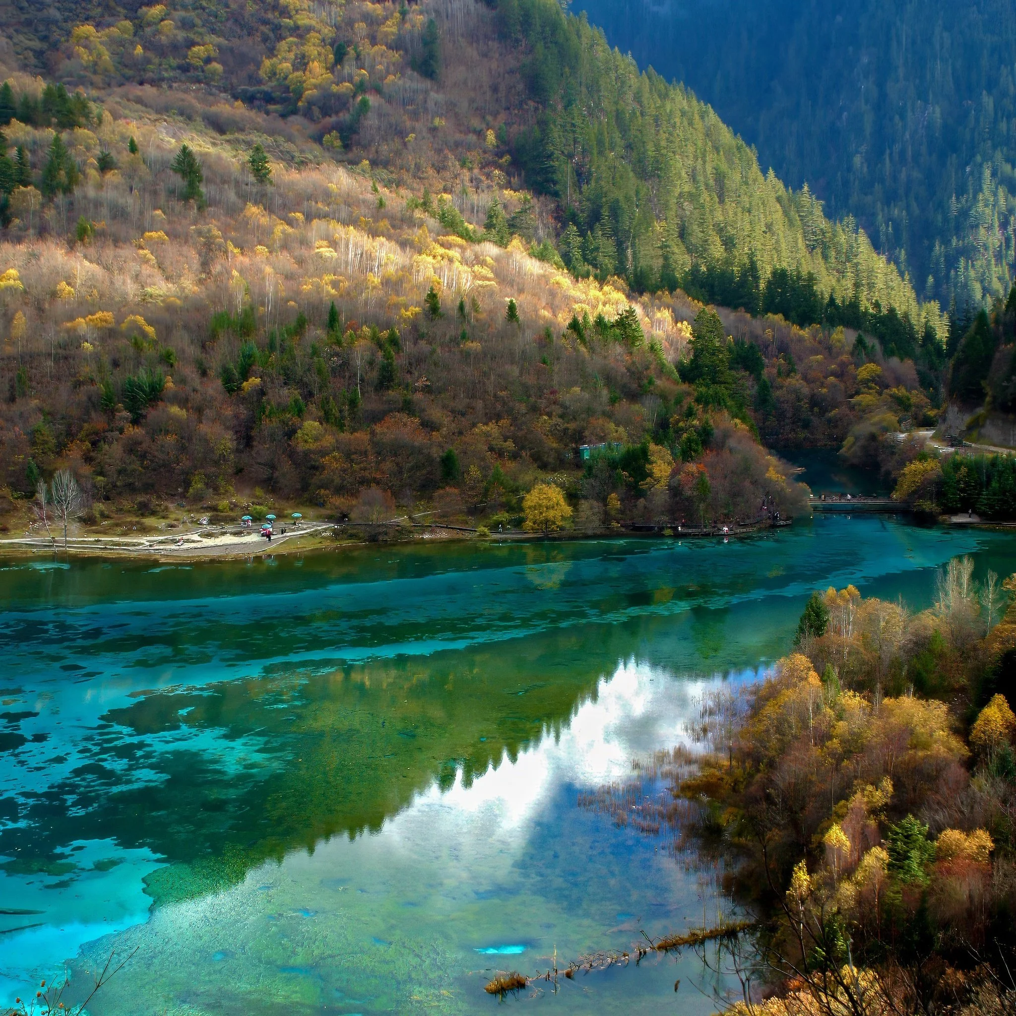 IMG_3625-topaz-denoise-sharpen Lois Anderson.jpg