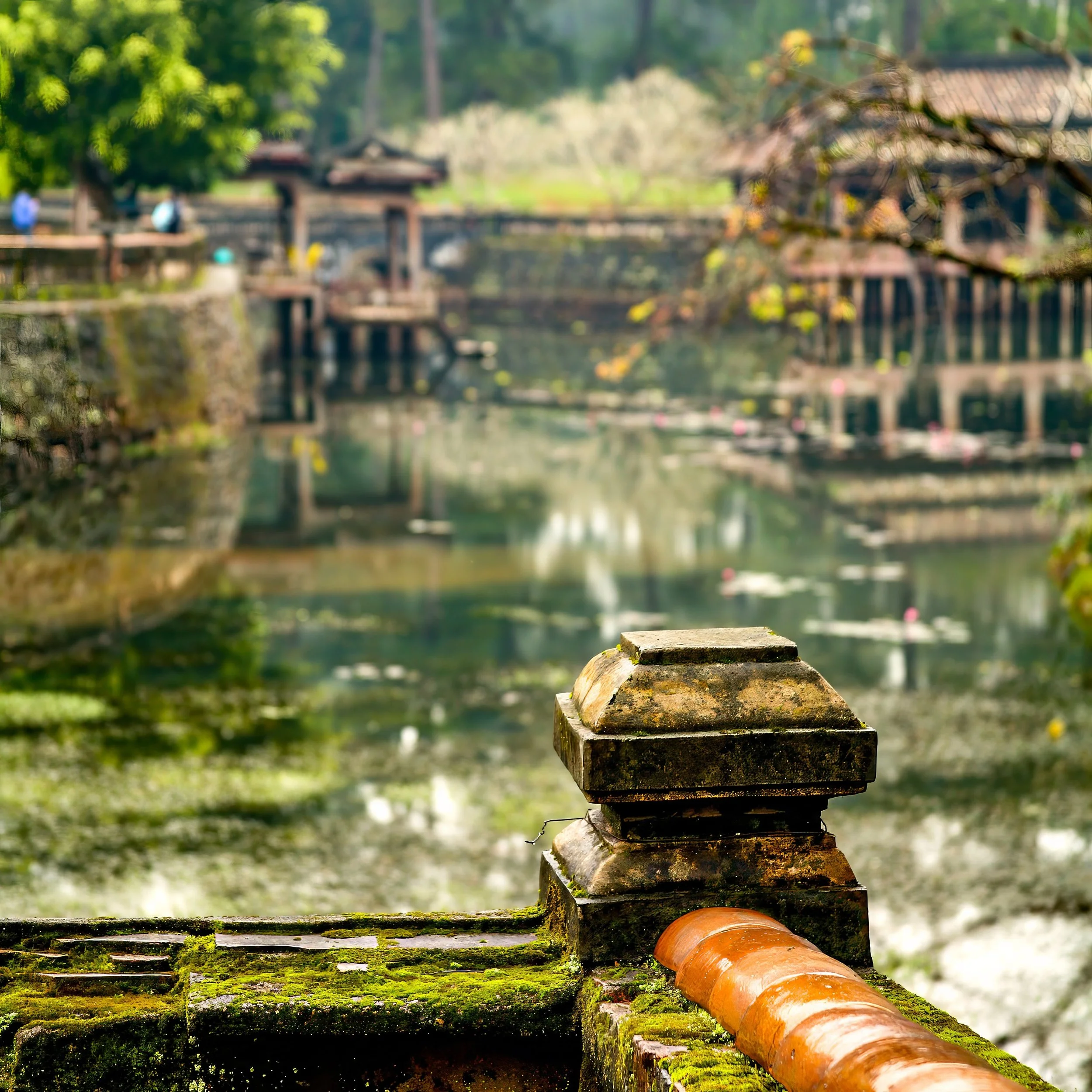 IMG_4214(1)-topaz-denoise-sharpen Lois Anderson.jpg