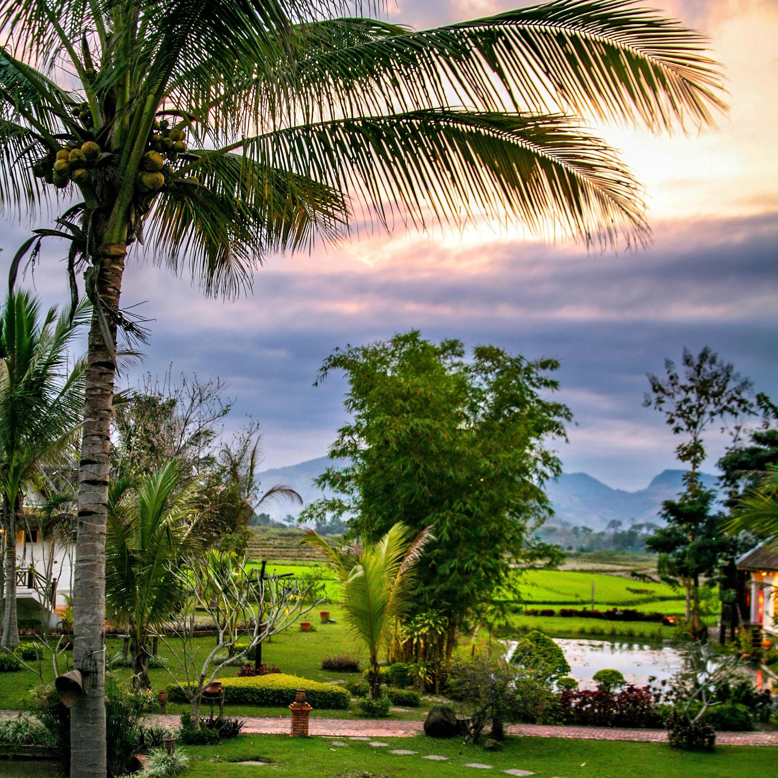 IMG_6724-topaz-denoise-sharpen Lois Anderson.jpg